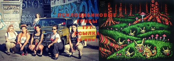 прущая мука Осташков