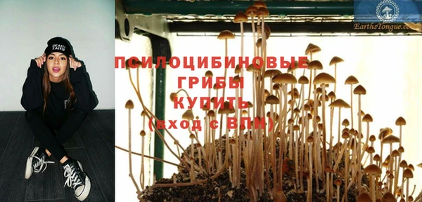 марки lsd Гусиноозёрск